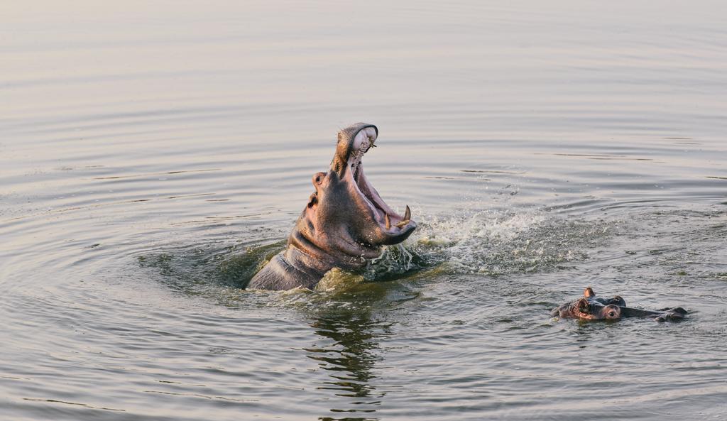 Monate Game Lodge موديمول المظهر الخارجي الصورة